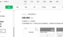 今日看点爆料小程序下载,小程序下载背后的精彩故事